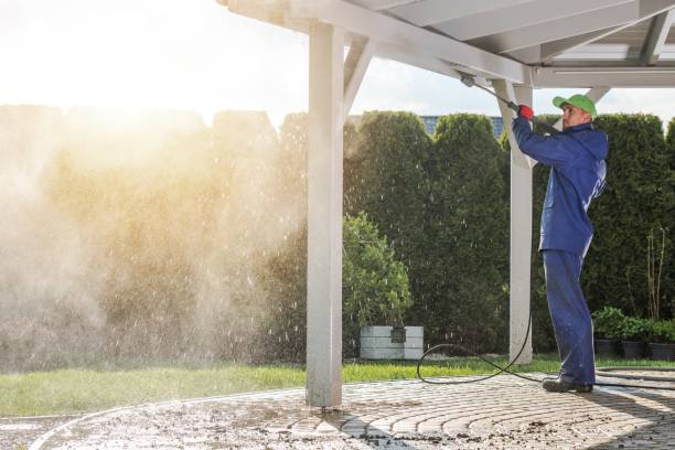 Best Fleet Vehicle Washing  in Wolfe City, TX