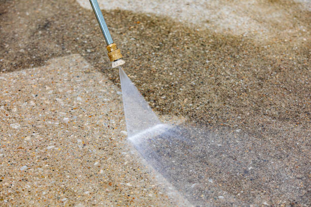 Best Winterizing Services  in Wolfe City, TX
