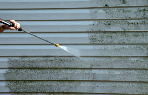 Best Building Exterior Washing  in Wolfe City, TX